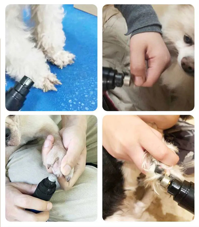 Pet Nail Trimmer