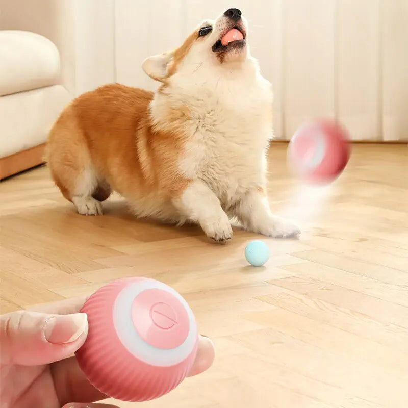 Smart Auto-Rolling Pet Ball Toy