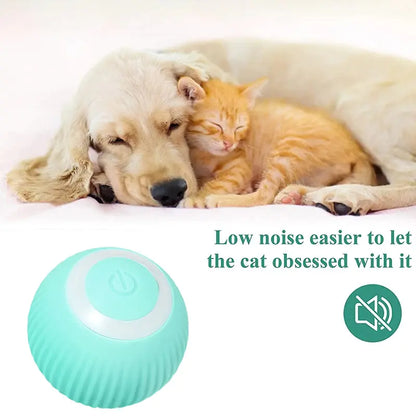 Smart Auto-Rolling Pet Ball Toy