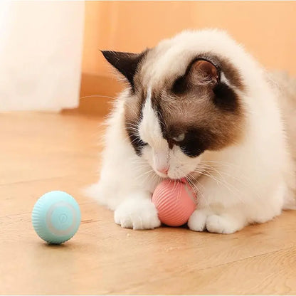 Smart Auto-Rolling Pet Ball Toy